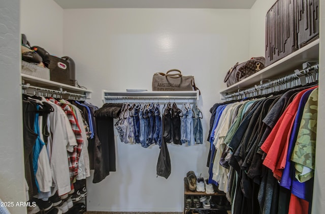 view of walk in closet