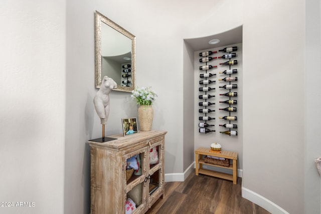 wine cellar featuring dark hardwood / wood-style flooring