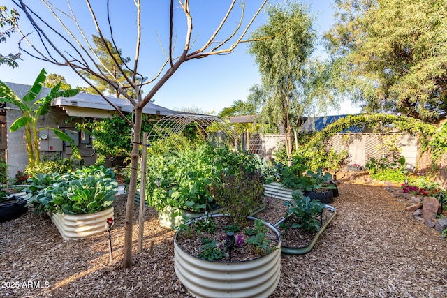 view of yard with a vegetable garden and fence