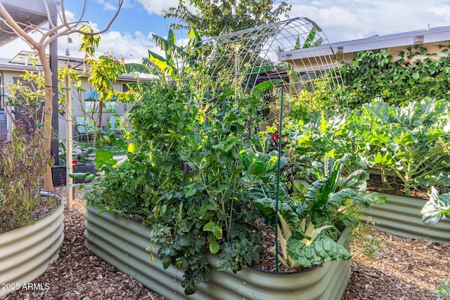 view of yard with a vegetable garden