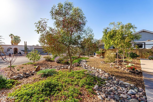view of yard with fence