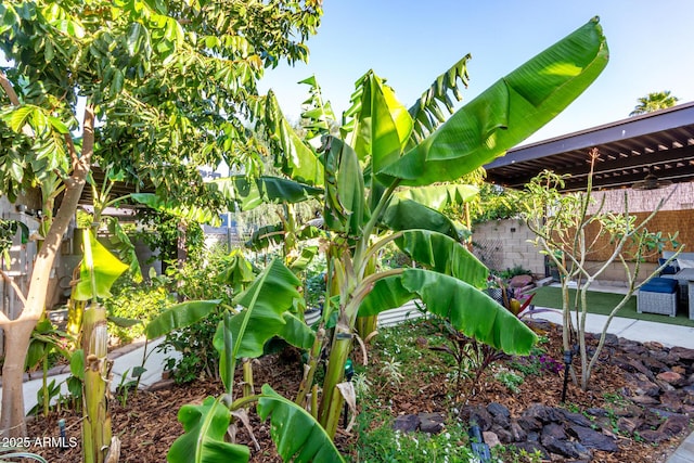 details with a fenced backyard