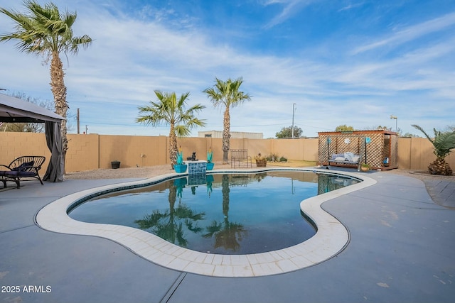 view of pool with a patio