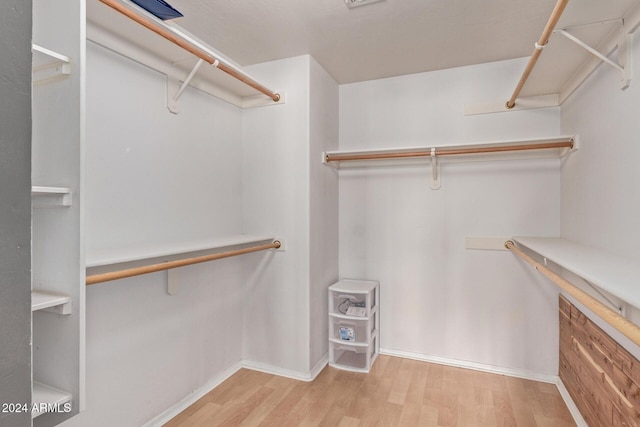 spacious closet featuring light hardwood / wood-style floors