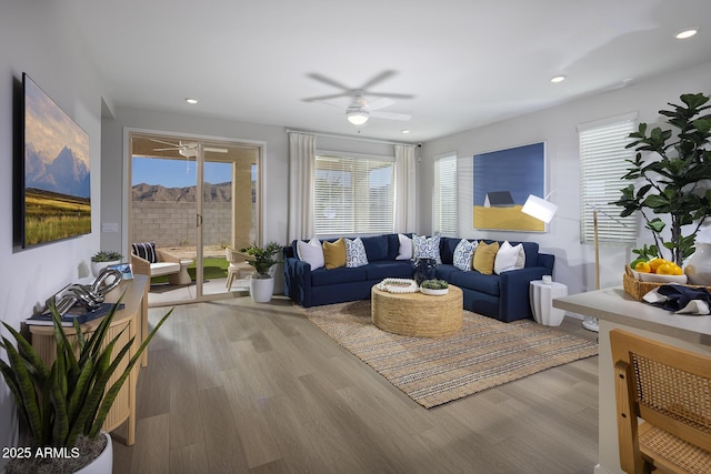 living room featuring ceiling fan and light hardwood / wood-style flooring