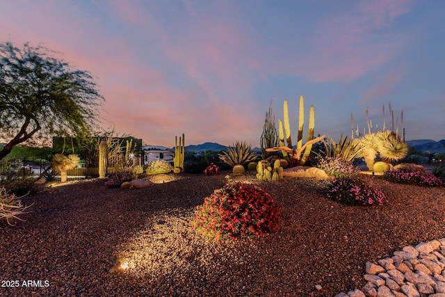 view of yard at dusk