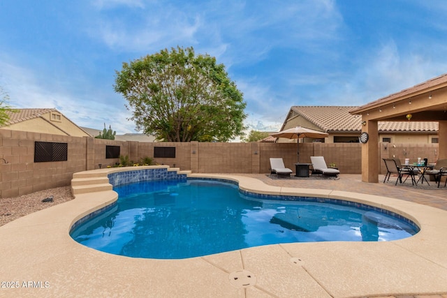 view of pool with a fenced backyard, a fenced in pool, and a patio area