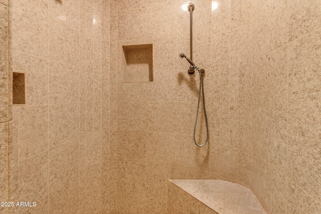 room details with tiled shower