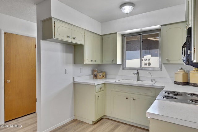 kitchen featuring light countertops, light wood finished floors, electric cooktop, and a sink