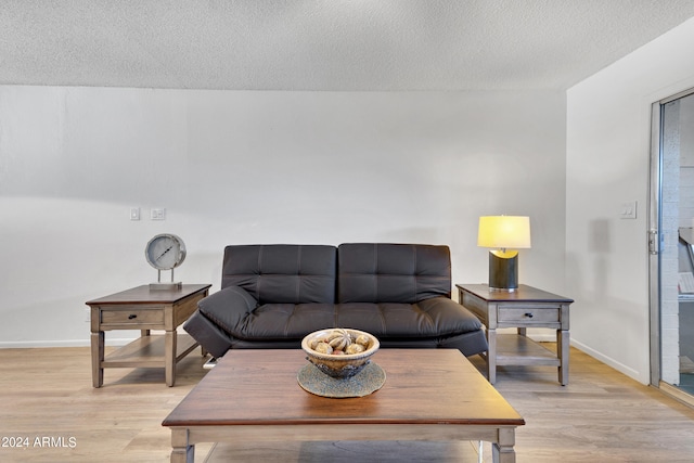 living room featuring light wood-type flooring, a textured ceiling, and baseboards