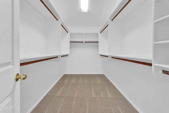walk in closet with carpet
