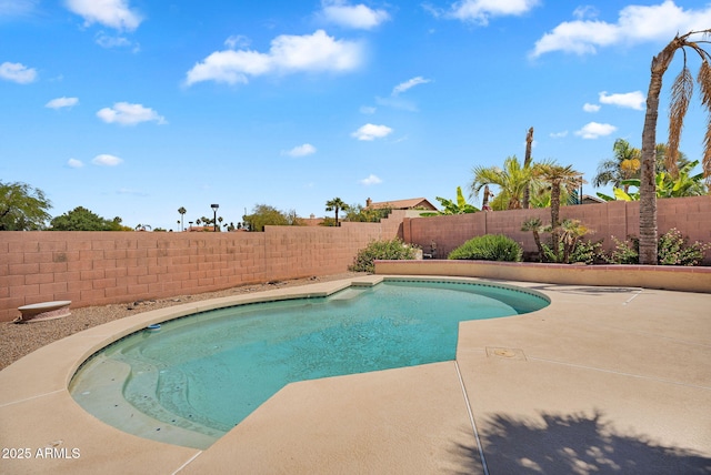 view of pool with a fenced backyard and a patio