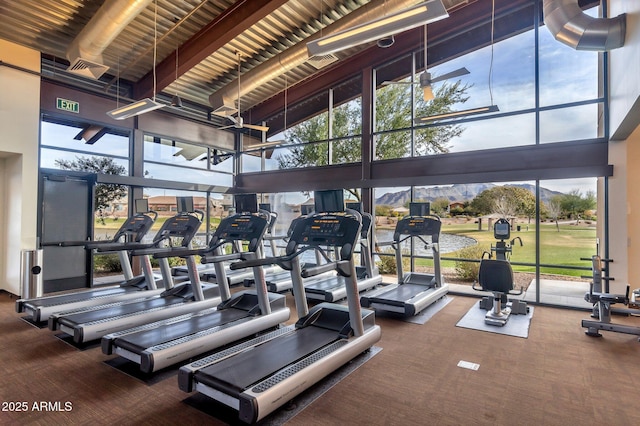 gym with carpet and a high ceiling