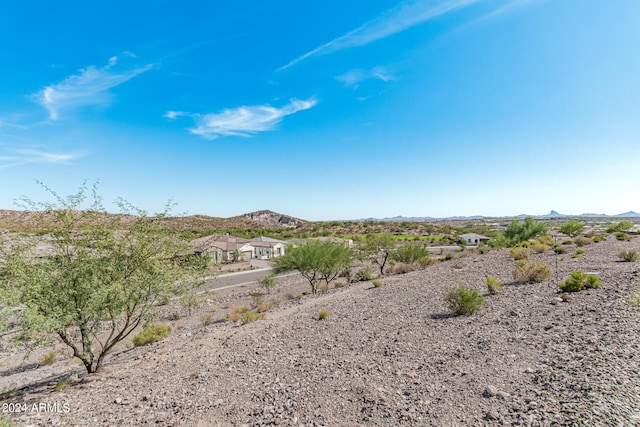 view of yard featuring a mountain view