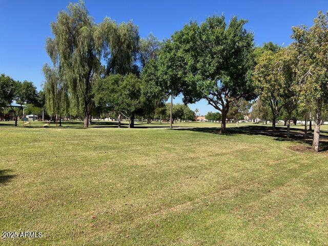 5450 E Paradise Ln, Scottsdale, AZ 85254 - view of grassy yard