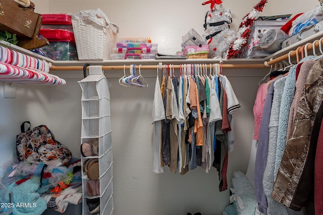 12238 W Patrick Ct, Sun City, AZ 85373 - view of spacious closet