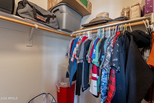 12238 W Patrick Ct, Sun City, AZ 85373 - view of walk in closet