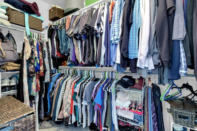 3029 E Patrick St, Gilbert, AZ 85295 - view of walk in closet