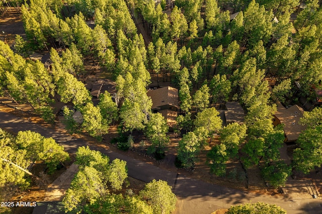 6523 Wild Cat Way, Pinetop, AZ 85935 - drone / aerial view