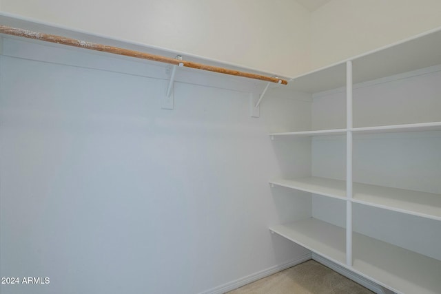 spacious closet featuring light carpet