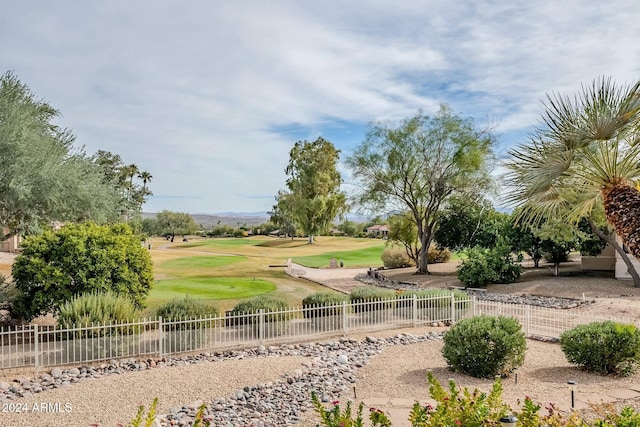 view of community with a yard