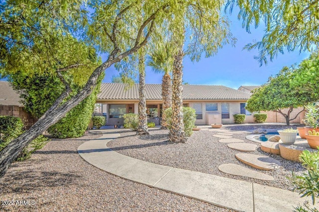 694 W Beechnut Dr, Chandler, AZ 85248 - back of house featuring a tile roof and stucco siding