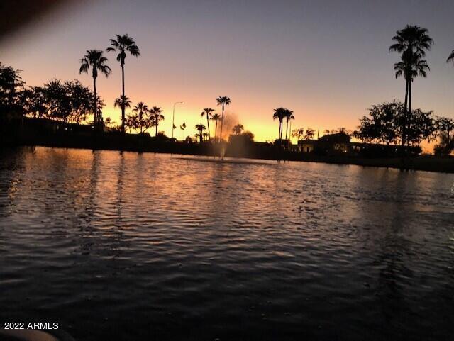 694 W Beechnut Dr, Chandler, AZ 85248 - water view
