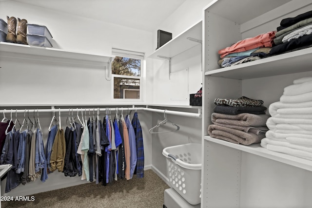 walk in closet featuring carpet flooring