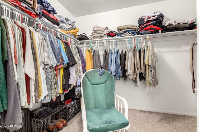 walk in closet with carpet flooring