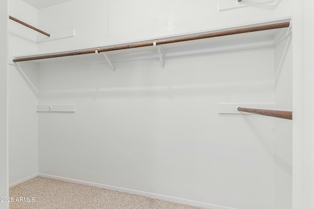 walk in closet featuring light colored carpet