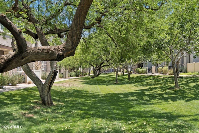 2313 E Hidalgo Ave, Phoenix, AZ 85040 - view of community featuring a lawn