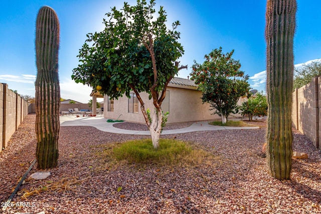 view of yard featuring a patio area