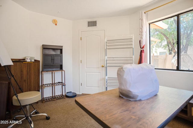 office space with radiator, visible vents, and carpet
