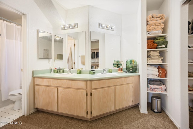 bathroom with toilet and vanity