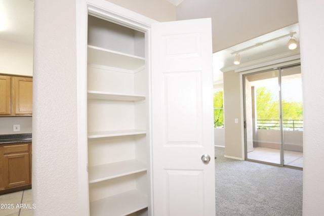 20100 N 78th Pl Unit 2105, Scottsdale, AZ 85255 - view of closet