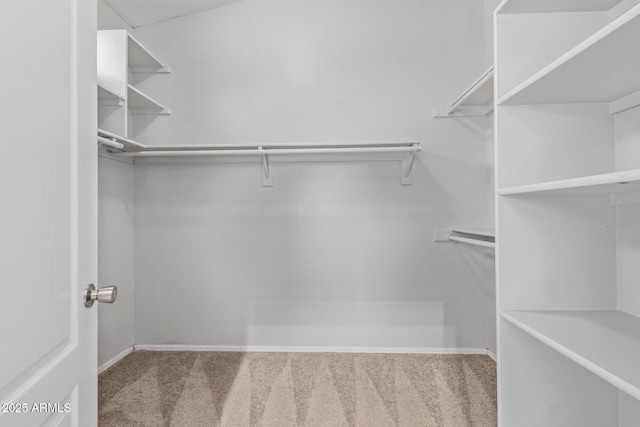 871 W Mesquite St, Gilbert, AZ 85233 - walk in closet featuring carpet floors