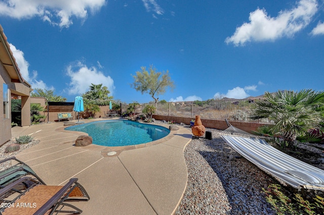 view of pool with a patio area