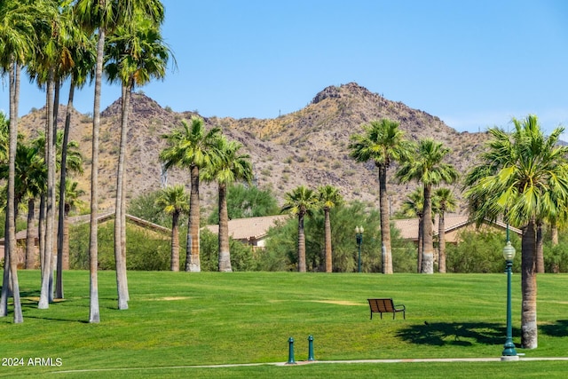 view of community featuring a lawn and a mountain view