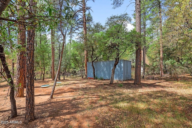 3674 N Navajo Dr, Pine, AZ 85544 - view of yard featuring an outbuilding