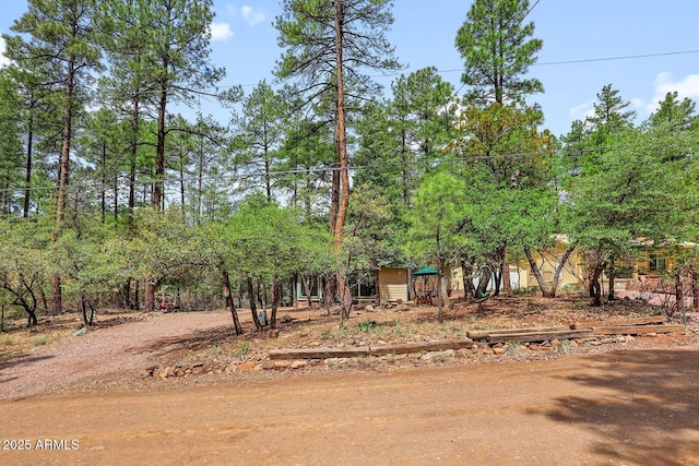 3674 N Navajo Dr, Pine, AZ 85544 - view of front of home