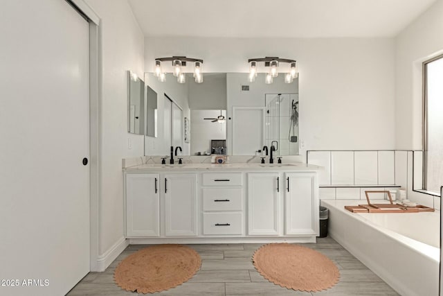 full bath featuring double vanity, a shower stall, a washtub, and a sink