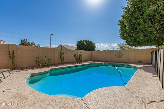 view of pool featuring a fenced backyard, a fenced in pool, and a patio