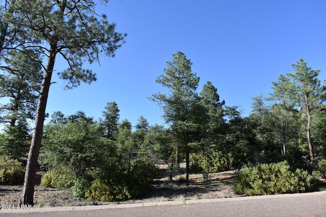 LOT19 E Pine Ridge Dr Unit 19, Star Valley AZ, 85541 land for sale