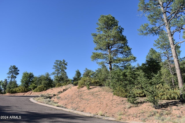 Listing photo 2 for LOT19 E Pine Ridge Dr Unit 19, Star Valley AZ 85541