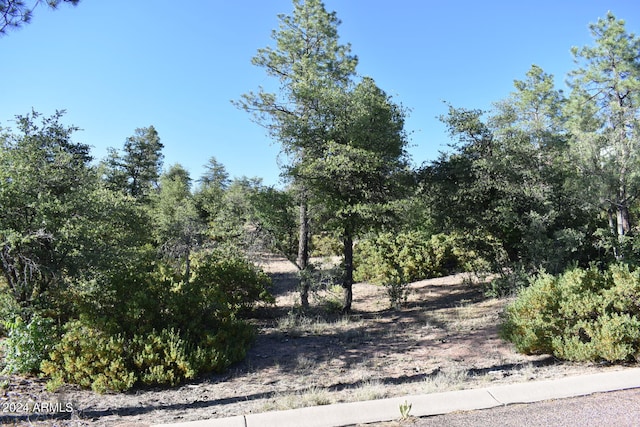 Listing photo 3 for LOT19 E Pine Ridge Dr Unit 19, Star Valley AZ 85541