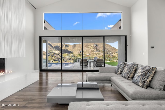 living room with hardwood / wood-style flooring, a healthy amount of sunlight, and a mountain view