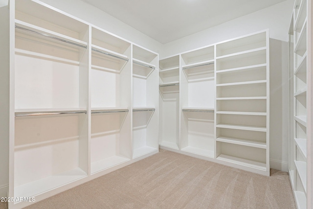 spacious closet with carpet