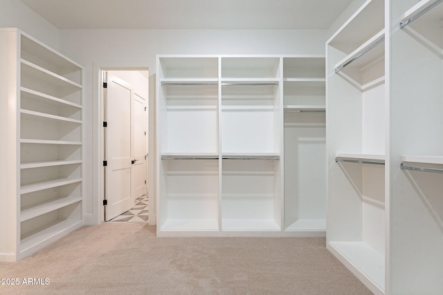 spacious closet featuring carpet flooring