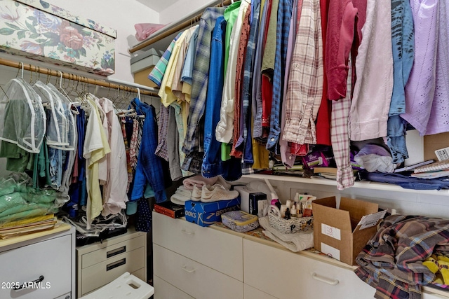 16002 E Gleneagle Dr, Fountain Hills, AZ 85268 - view of spacious closet
