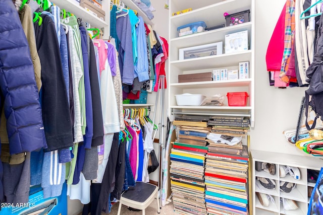 view of spacious closet